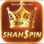 Shah Spin