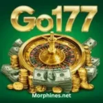 GO177 Game