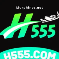 H555 Game