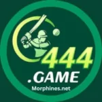 C444 Game