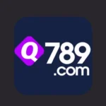 Q789 Game
