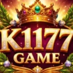 K1177 Game