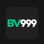 BV999 Game
