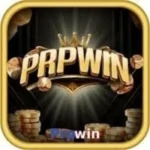 PRPWIN Game